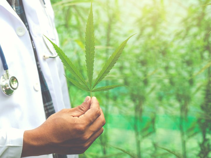 Medical Marijuana: Understanding Benefits, Side Effects, and Therapeutic Uses - BudMother.com