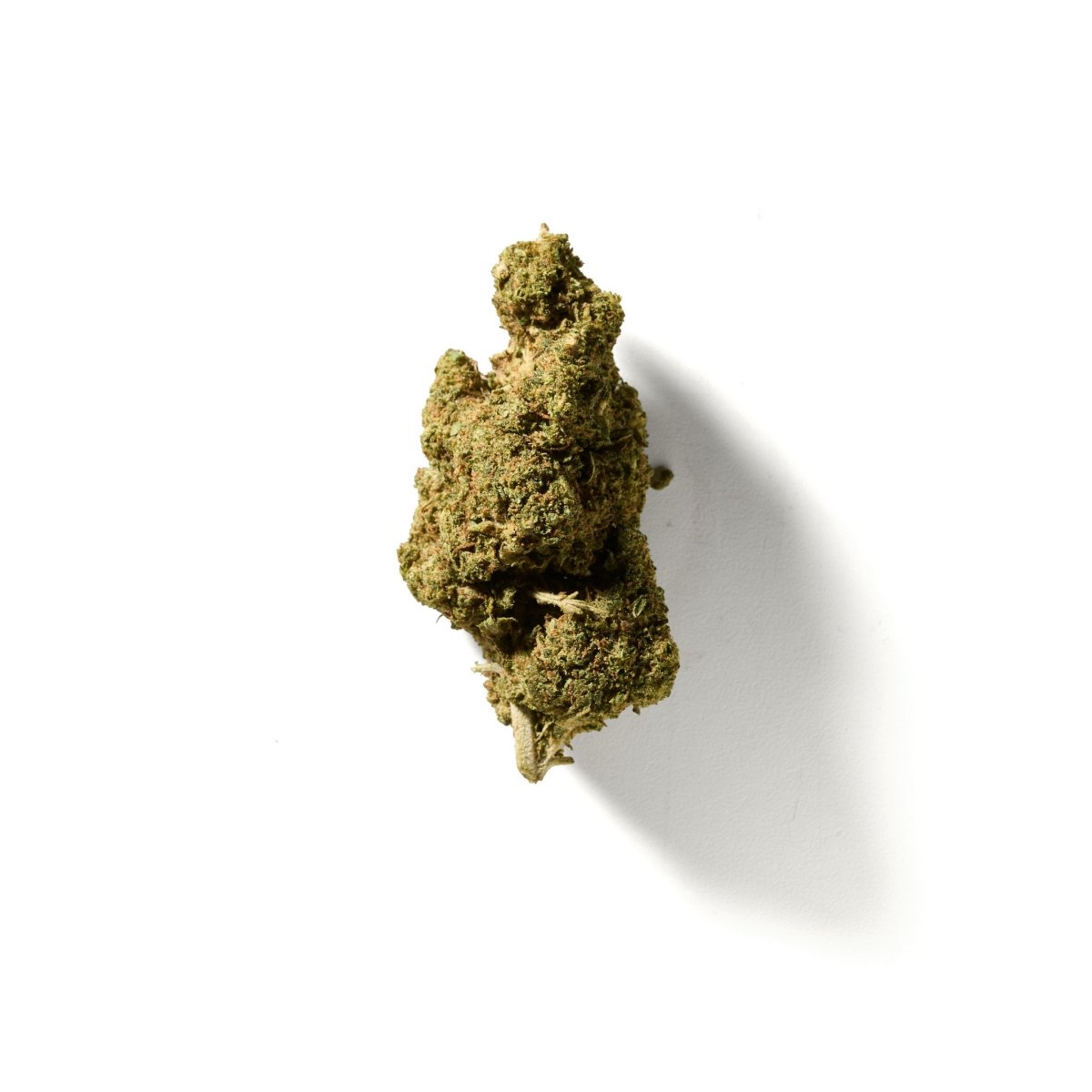 BudMother Wagyu Style HHC Flower