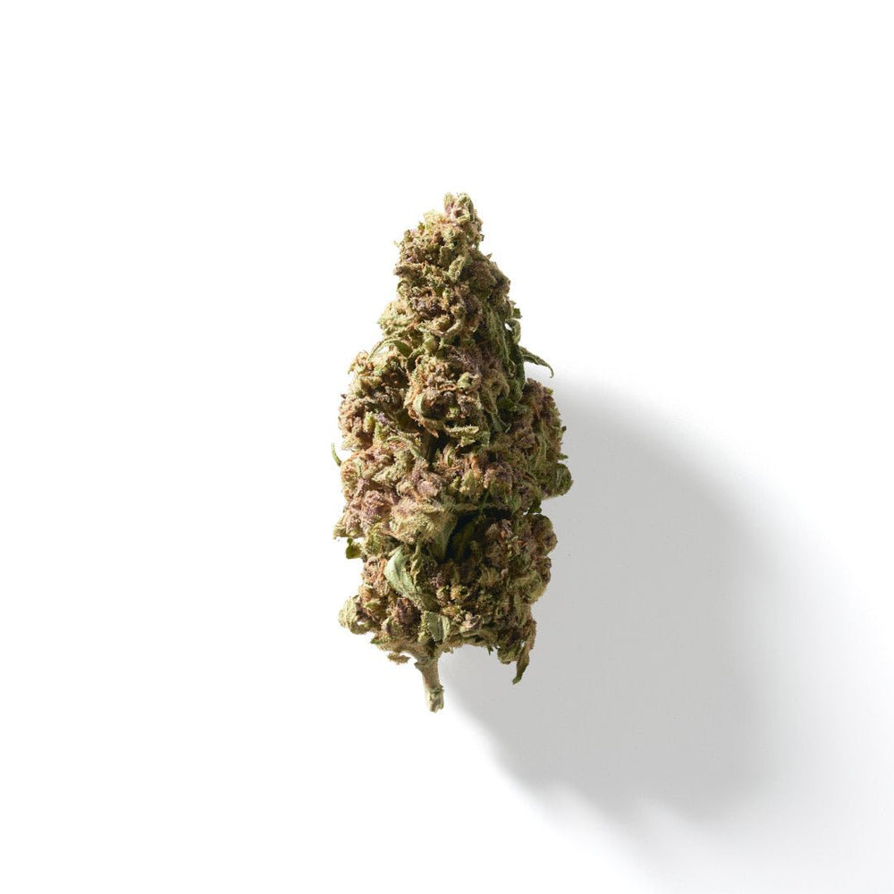 BudMother Cali THCA Flower - BudMother.com