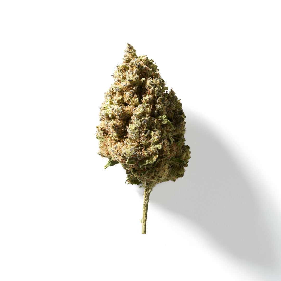 BudMother Shadow Hunter HHC Flower