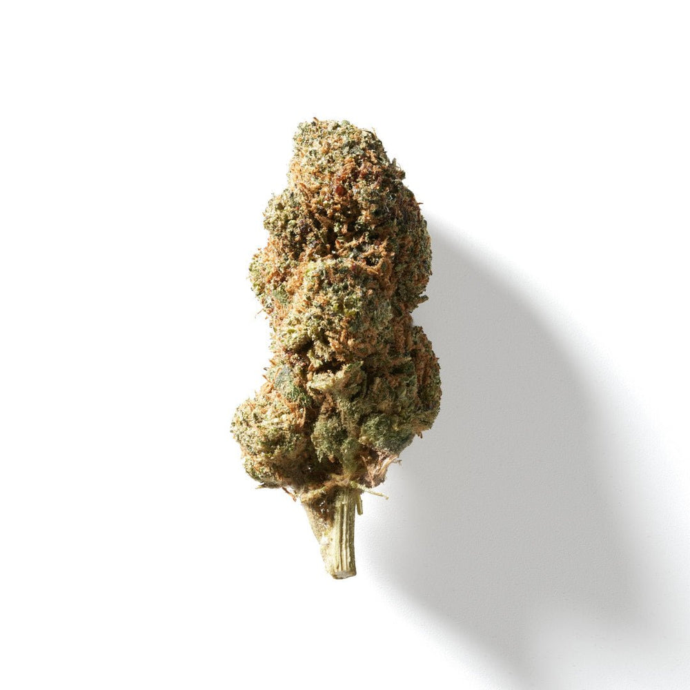 BudMother Orangello THCA Flower - BudMother.com