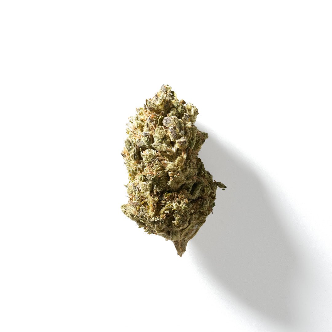 BudMother Amsterdam Express HHC Flower - BudMother.com