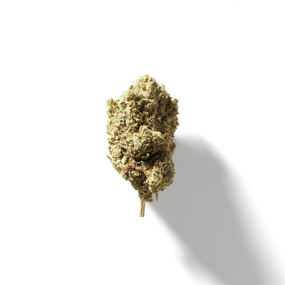 BudMother Fruity Lemon THCA Hemp Flower