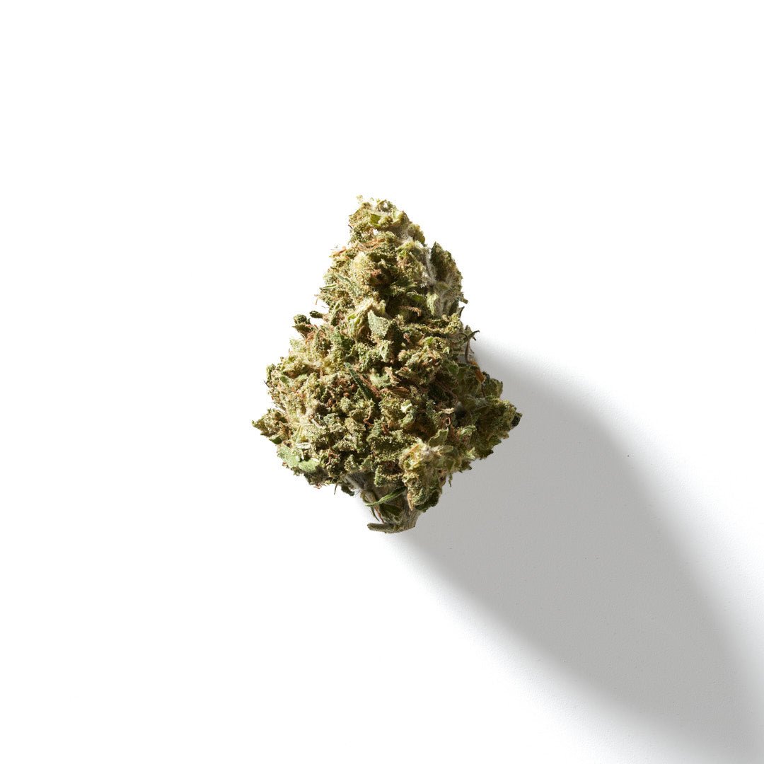 BudMother Sour Lifter CBD Hemp Flower - BudMother.com