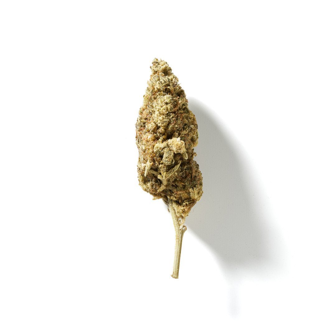 BudMother Sunset Sherbert HHC Flower - BudMother.com