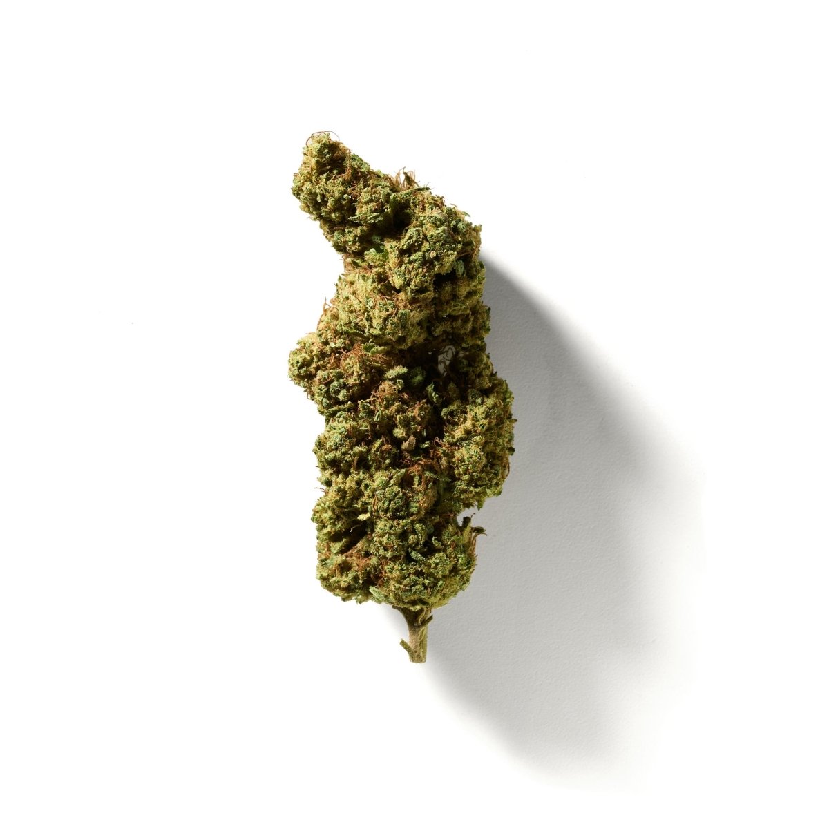 BudMother Lemonade CBD Hemp Flower - BudMother.com