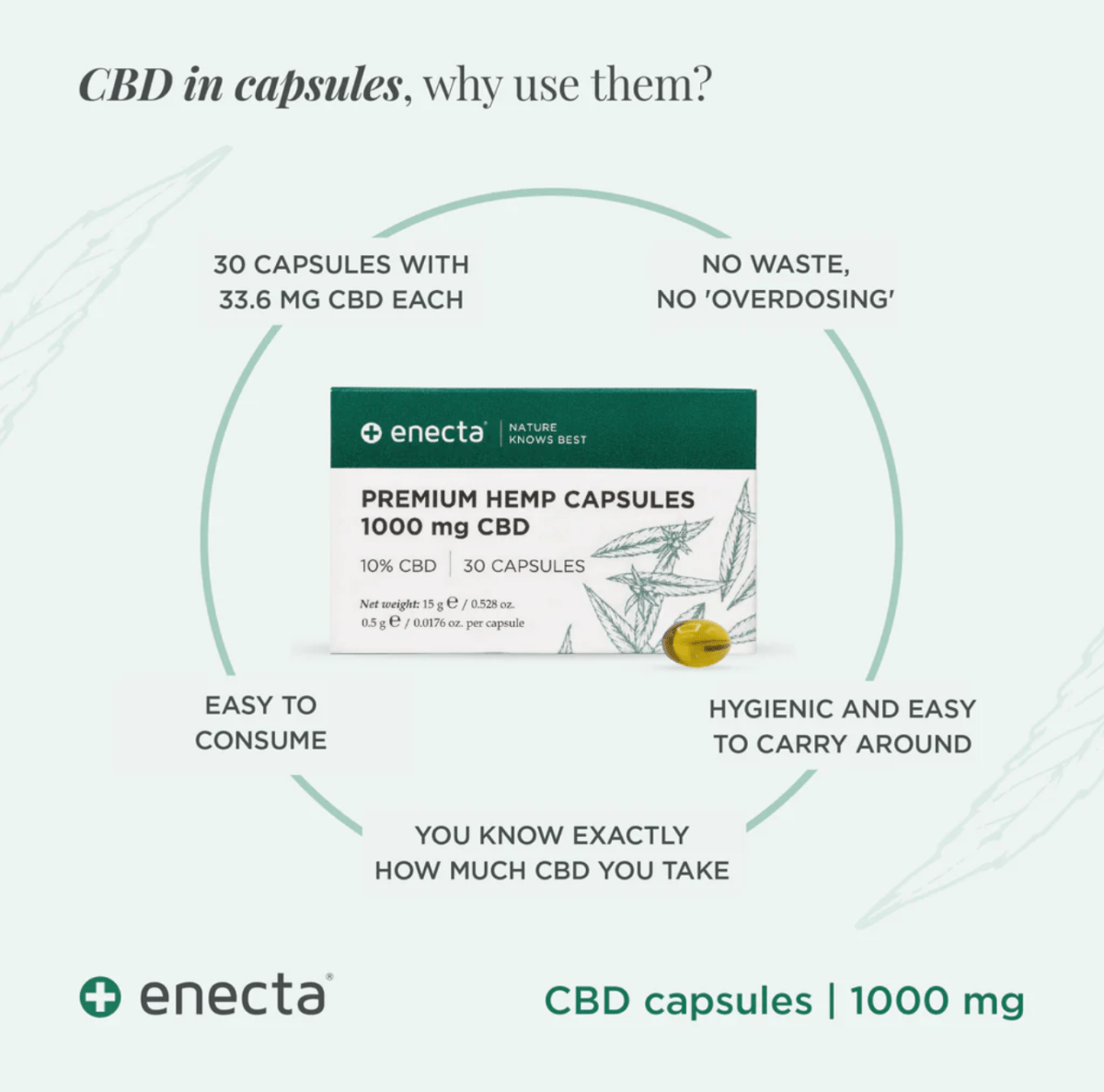 Enecta Premium Hemp Extract CBD Capsules - BudMother.com