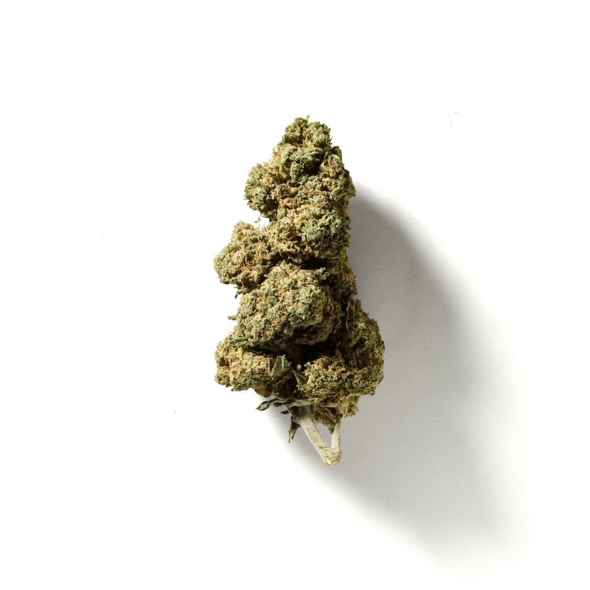 BudMother Zen THCA Hemp Flower
