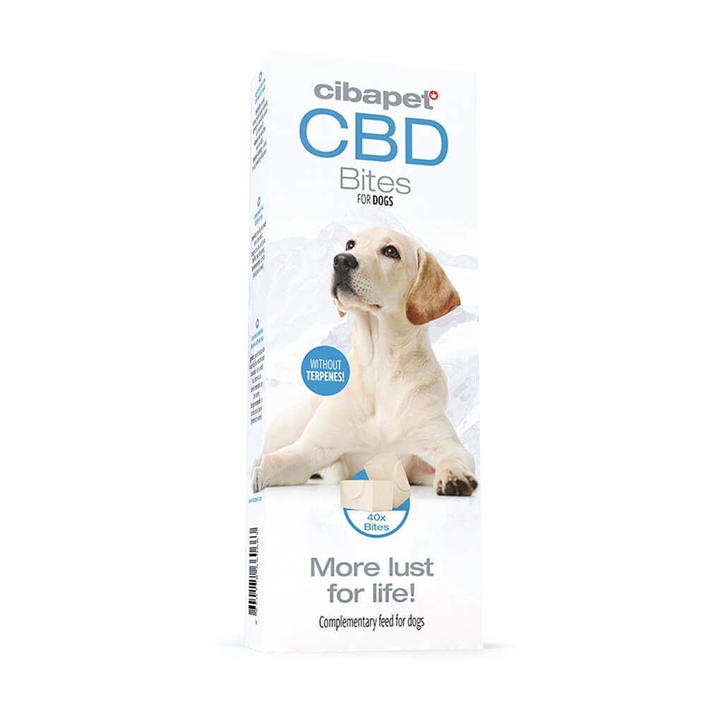 Cibdol CBD Bites for Dogs
