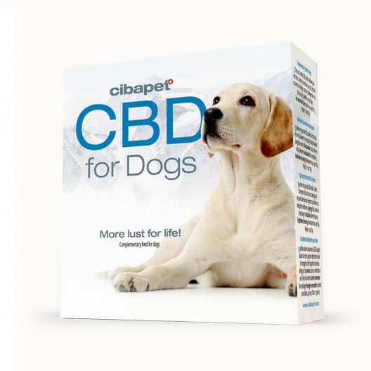 CBD Pastilles For Dogs - BudMother.com