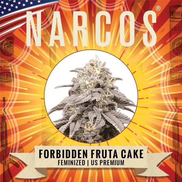 Narcos Forbidden Fruta Cake Feminized (3 seeds pack) - BudMother.com