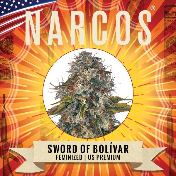 Narcos Sword of Boliavar Feminized (3 seeds pack) - BudMother.com